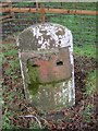 Old Milestone by the A701, Tinwald Parish