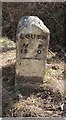 Old Milestone by the A631, Main Road, west of North Willingham