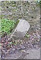 Old Milestone by Goodleigh Road, Goodleigh