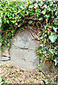 Old Milestone by Upper Tockington Road, Tockington, Olverston Parish