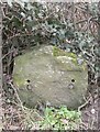 Old Milestone by the A3098, High Street, east of Chapmanslade