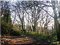 A path through The Lawns, Upper Norwood