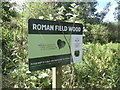 Roman Field Wood