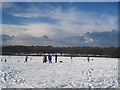 SJ4285 : Snow on Camp Hill by Sue Adair