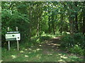 Footpath in Roberts Wood