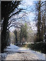 Track adjacent to Allerton Towers