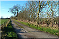 Farm Track Near Hollands