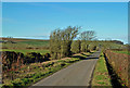 Road Near Newmains