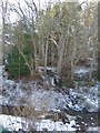 Winter waterfall spills into  Holm Burn