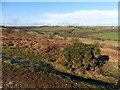 View towards Wellington Farm