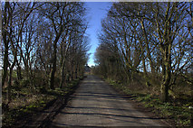 SD4454 : Moss Lane, looking westwards by Robert Eva