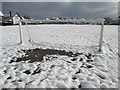 Snow-covered common at Winchmore Hill