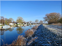 TL5064 : Clayhithe: frost and reflections by John Sutton