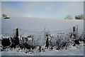 Faccary Townland