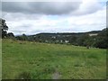 View from the track to Longnor obelisk