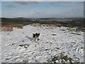 Snowy viewpoint