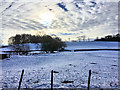 Snow-covered Fields near Tyr peg