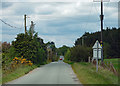 Country road near The Bog (3)