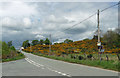 Country road near Pennerley (3)