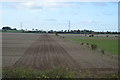 TL5864 : Flat farmland by N Chadwick