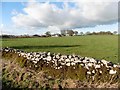 View towards Bristol Plain Farm