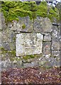 Old Boundary Marker by East Lodge, Houndtor Down, Manaton Parish