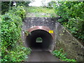 Tunnel on Boiling Wells Lane