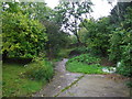 Footpath to Narroways Park