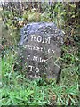 Old Milestone by the B4300, west of Bremenda Uchafa, Llanarthney Parish