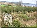 Old Milestone by the A719, Electric Bray, Maybole Parish