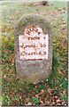 Old Milestone by the A489, Churchstoke Parish