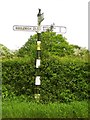 Old Direction Sign - Signpost by School Lane, Occlestone Green, Wimboldsley Parish