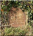 Old Milestone by the B4396, Llangedwyn, Llangedwyn Parish