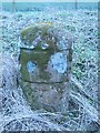 Old Milestone by the A701, Amisfield, Tinwald Parish