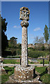 Old Wayside Cross - moved to churchyard, Stoke Sub Hamdon Parish