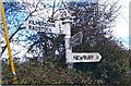 Old Direction Sign - Signpost by Lipyeate Cross, Coleford Parish