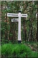 Old Direction Sign - Signpost by Broadwater Forest Lane, Withyham Parish