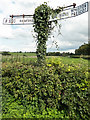 Old Direction Sign - Signpost by the B5203, Gillar