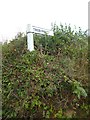 Old Direction Sign - Signpost north of Treburgett, St Teath Parish