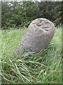 Old Milestone by the A952, by Sandhole, Lonmay Parish