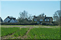 Houses, Green Tye