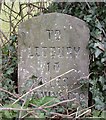 Old Milestone by the A417, south east of Burley Gate, Much Cowarne Parish