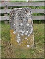 Old Milestone by Station Road, Great Wishford