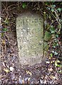 Old Milestone by Whitchurch Road, Tavistock Parish