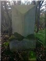 Old Milestone by the A573, Parkside Road, Newton le Willows Parish