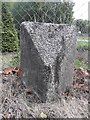 Old Milestone by the A82, Fort Augustus Parish