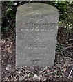 SO6440 : Old Milestone by the A417, The Castle, Ashperton Parish by M Faherty