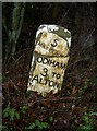 Old Milestone by the B3349, Golden Pot, Shalden Parish