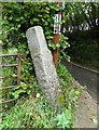 Old Guide Stone by Leigh Cross, Hennock Parish