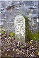 Old Boundary Marker on Mount Tavy Road